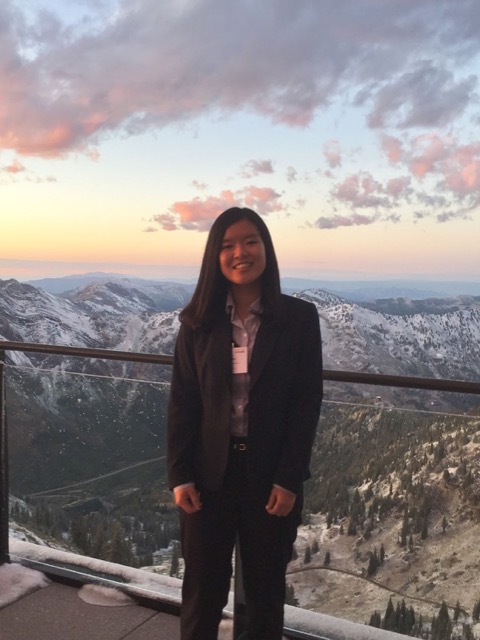 Surface Cleaning Treatments for 3D Printed Medical Implants: Student Researcher: Additive Manufacturing